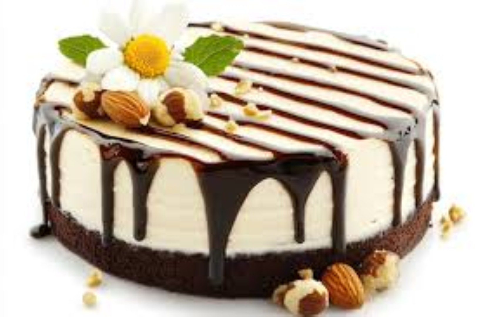 SIMPLIFINE VANILLA CAKE 600G